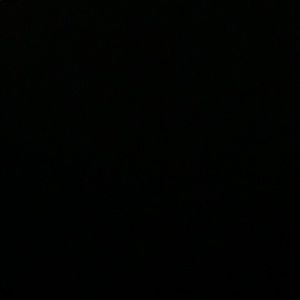 Meet your Posher, Tekeisha